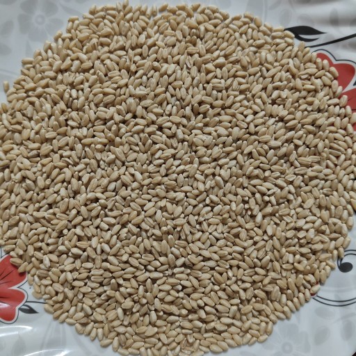 Organic Wheat ( Residue Free)